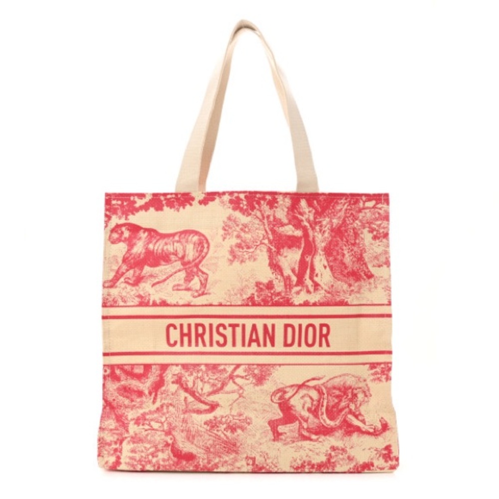 Christian Dior Straw Dioriviera Wardujuy Tote Bag Novelty VIP Gift Bag PINK